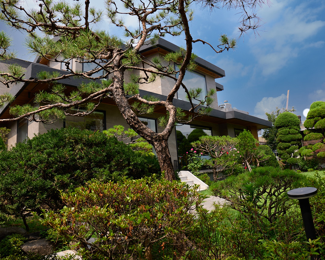 The restaurant and its garden
